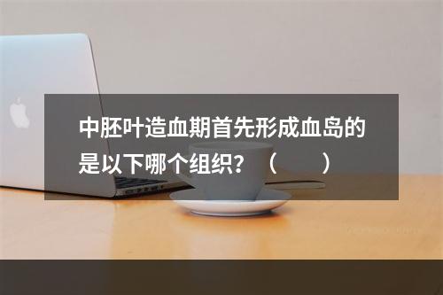 中胚叶造血期首先形成血岛的是以下哪个组织？（　　）