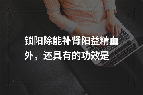 锁阳除能补肾阳益精血外，还具有的功效是