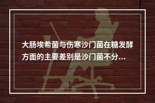 大肠埃希菌与伤寒沙门菌在糖发酵方面的主要差别是沙门菌不分解（