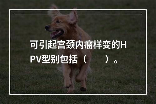 可引起宫颈内瘤样变的HPV型别包括（　　）。