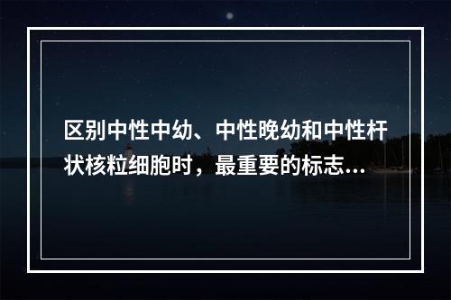 区别中性中幼、中性晚幼和中性杆状核粒细胞时，最重要的标志是（