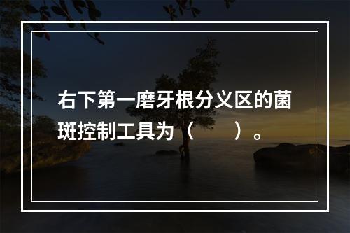 右下第一磨牙根分义区的菌斑控制工具为（　　）。