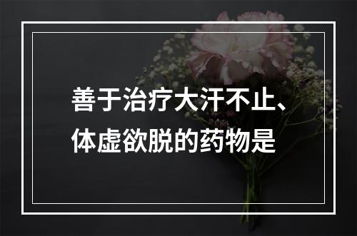 善于治疗大汗不止、体虚欲脱的药物是