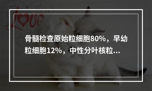 骨髓检查原始粒细胞80%，早幼粒细胞12%，中性分叶核粒细胞