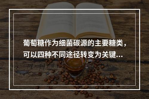 葡萄糖作为细菌碳源的主要糖类，可以四种不同途径转变为关键性的