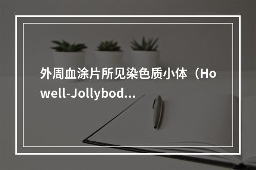 外周血涂片所见染色质小体（Howell-Jollybody）