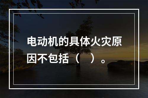 电动机的具体火灾原因不包括（　）。