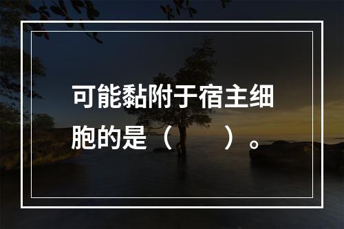 可能黏附于宿主细胞的是（　　）。