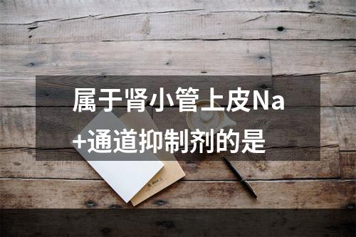 属于肾小管上皮Na+通道抑制剂的是