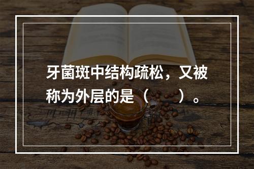 牙菌斑中结构疏松，又被称为外层的是（　　）。