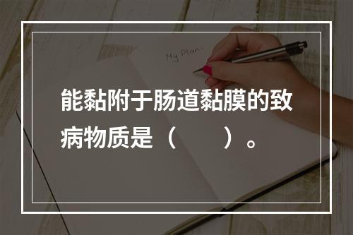 能黏附于肠道黏膜的致病物质是（　　）。