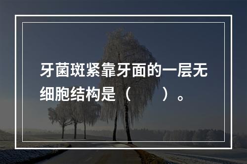 牙菌斑紧靠牙面的一层无细胞结构是（　　）。