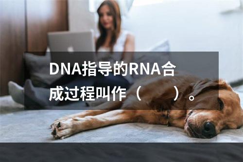 DNA指导的RNA合成过程叫作（　　）。