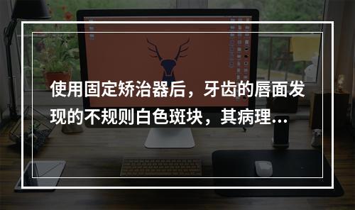 使用固定矫治器后，牙齿的唇面发现的不规则白色斑块，其病理表现