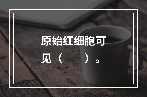 原始红细胞可见（　　）。