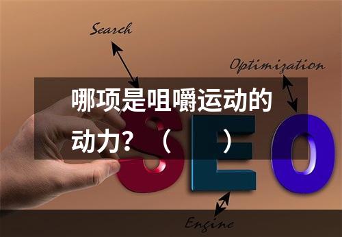 哪项是咀嚼运动的动力？（　　）