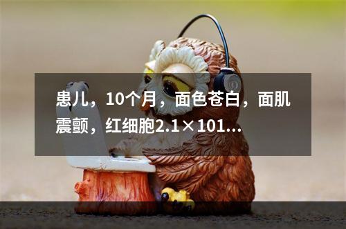 患儿，10个月，面色苍白，面肌震颤，红细胞2.1×1012/