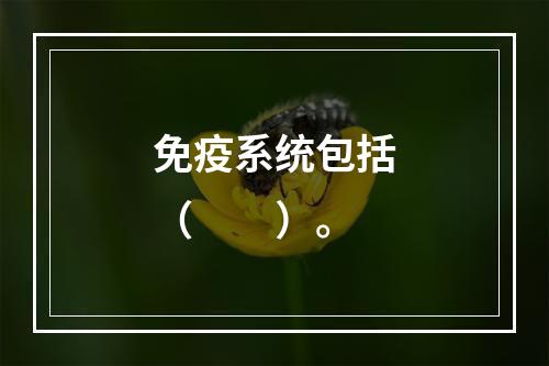 免疫系统包括（　　）。