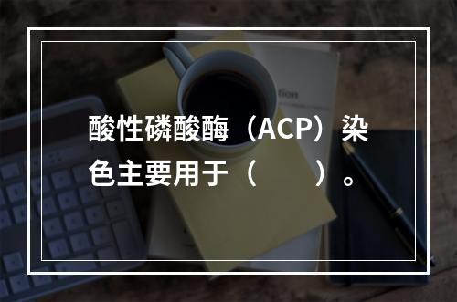 酸性磷酸酶（ACP）染色主要用于（　　）。