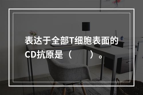 表达于全部T细胞表面的CD抗原是（　　）。