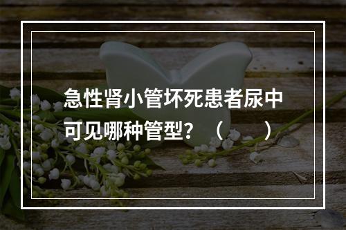 急性肾小管坏死患者尿中可见哪种管型？（　　）