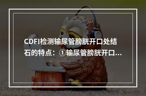 CDFI检测输尿管膀胱开口处结石的特点：①输尿管膀胱开口喷