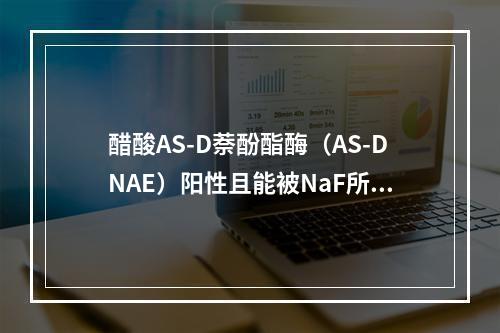 醋酸AS-D萘酚酯酶（AS-DNAE）阳性且能被NaF所抑制