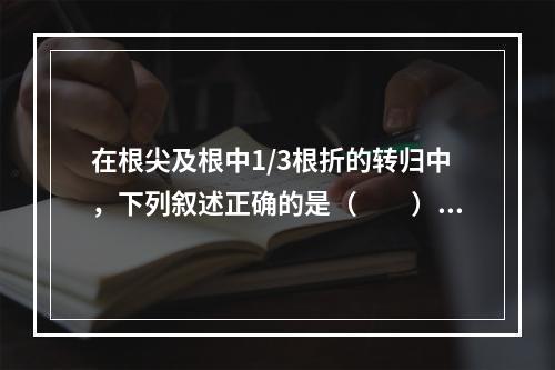 在根尖及根中1/3根折的转归中，下列叙述正确的是（　　）。