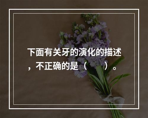 下面有关牙的演化的描述，不正确的是（　　）。