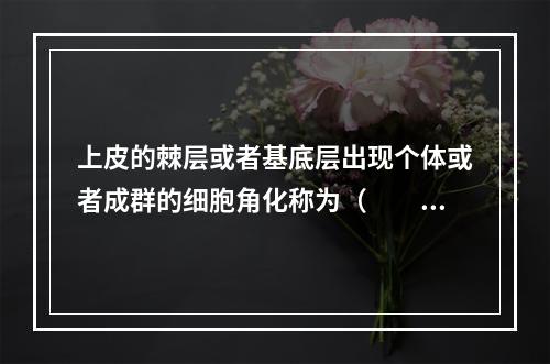 上皮的棘层或者基底层出现个体或者成群的细胞角化称为（　　）。