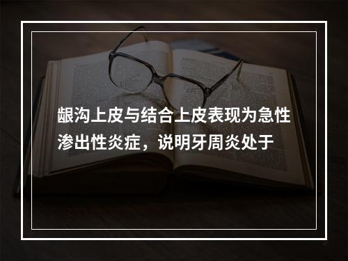 龈沟上皮与结合上皮表现为急性渗出性炎症，说明牙周炎处于