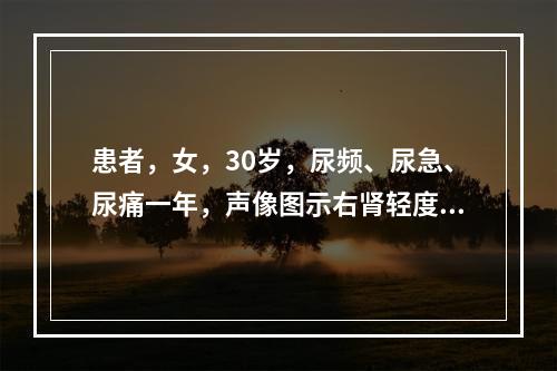 患者，女，30岁，尿频、尿急、尿痛一年，声像图示右肾轻度肿