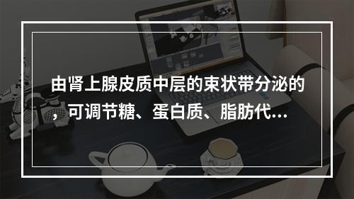 由肾上腺皮质中层的束状带分泌的，可调节糖、蛋白质、脂肪代谢的