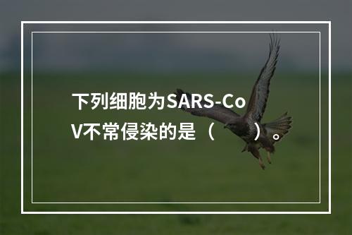 下列细胞为SARS-CoV不常侵染的是（　　）。