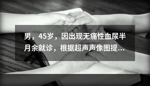 男，45岁，因出现无痛性血尿半月余就诊，根据超声声像图提示