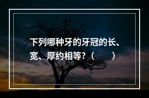 下列哪种牙的牙冠的长、宽、厚约相等?（　　）