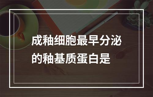 成釉细胞最早分泌的釉基质蛋白是