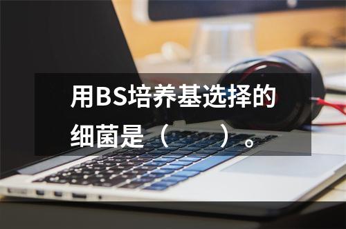 用BS培养基选择的细菌是（　　）。