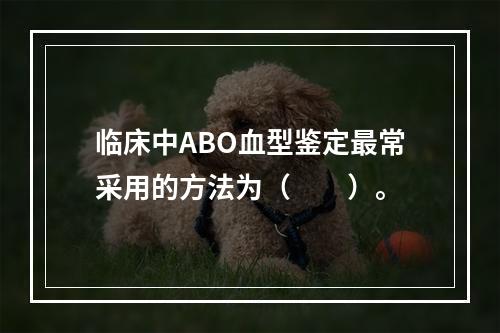 临床中ABO血型鉴定最常采用的方法为（　　）。