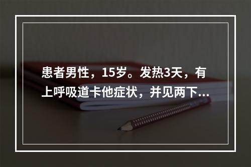 患者男性，15岁。发热3天，有上呼吸道卡他症状，并见两下肢皮