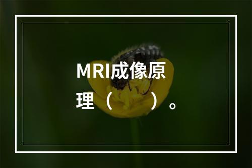 MRI成像原理（　　）。