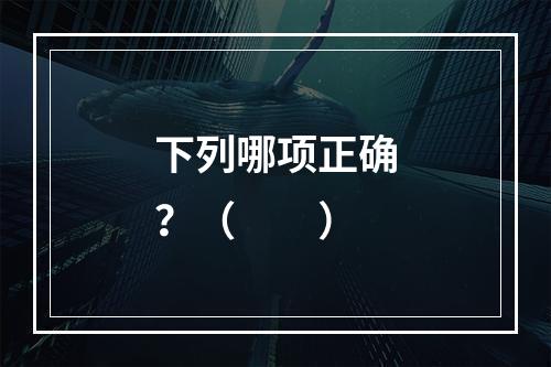 下列哪项正确？（　　）