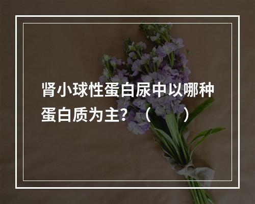 肾小球性蛋白尿中以哪种蛋白质为主？（　　）