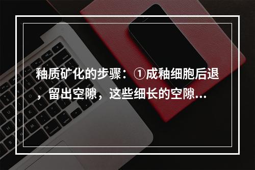 釉质矿化的步骤：①成釉细胞后退，留出空隙，这些细长的空隙与基