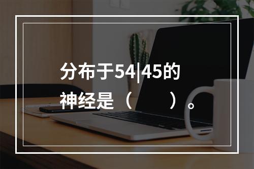 分布于54|45的神经是（　　）。