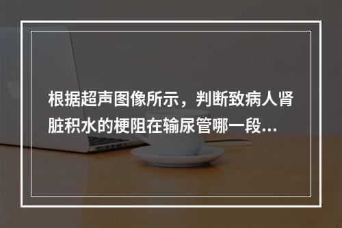 根据超声图像所示，判断致病人肾脏积水的梗阻在输尿管哪一段？