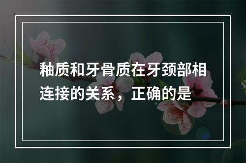 釉质和牙骨质在牙颈部相连接的关系，正确的是