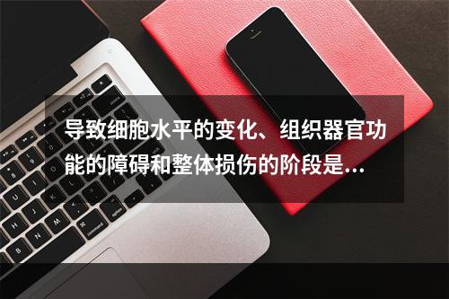 导致细胞水平的变化、组织器官功能的障碍和整体损伤的阶段是（　