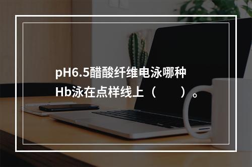 pH6.5醋酸纤维电泳哪种Hb泳在点样线上（　　）。