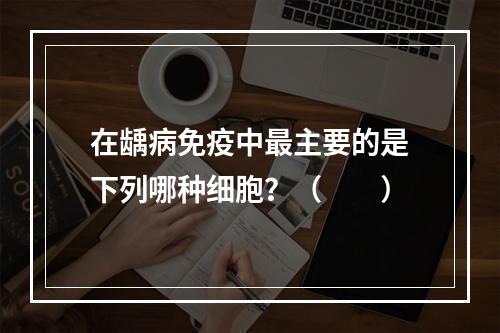 在龋病免疫中最主要的是下列哪种细胞？（　　）